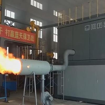 垃圾熱解焚燒爐廠家